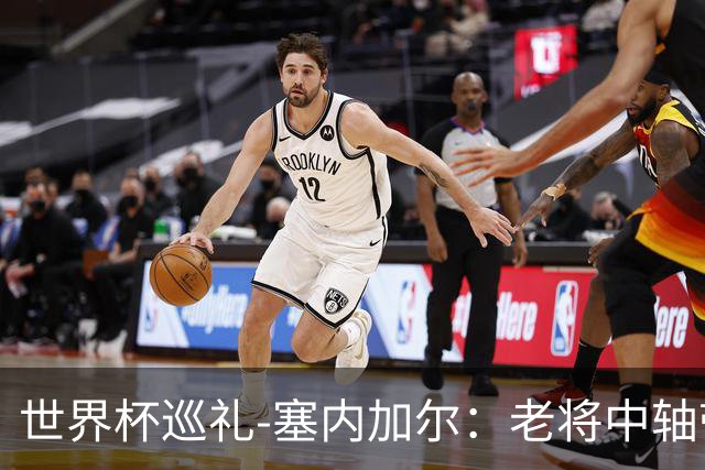 世界杯巡礼-塞内加尔：老将中轴带来安全感，非洲顶流前景可期！